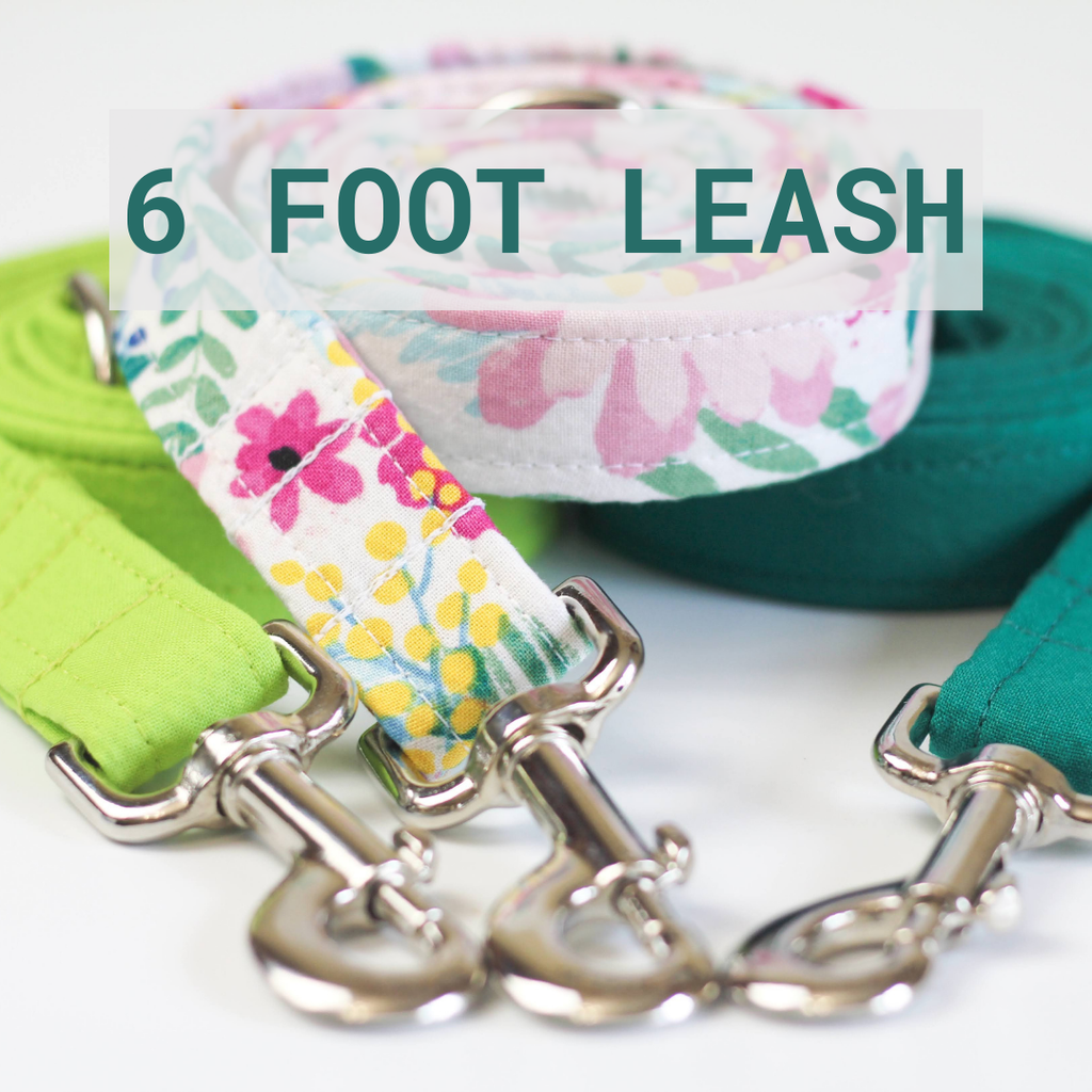 Dog Leash | Matching Dog Leash | Dog Lead | 6 Foot Dog Leash