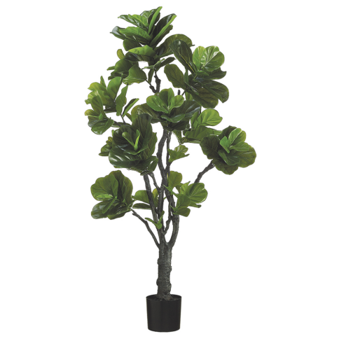 6' EVA Fiddle Plant with 144 Leaves in Black Plastic Pot Green