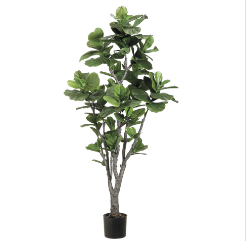 6' Fiddle Leaf Tree with 144 Leaves and PU Trunk in Plastic Pot Green