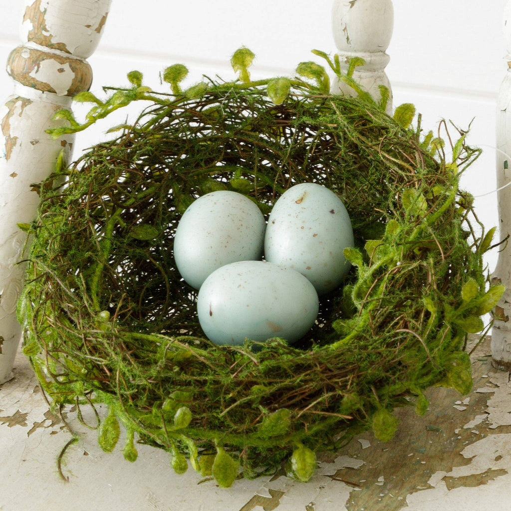 Robin's Egg Nest