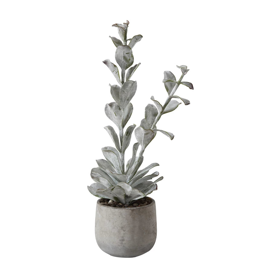 Faux Succulent in Cement Pot