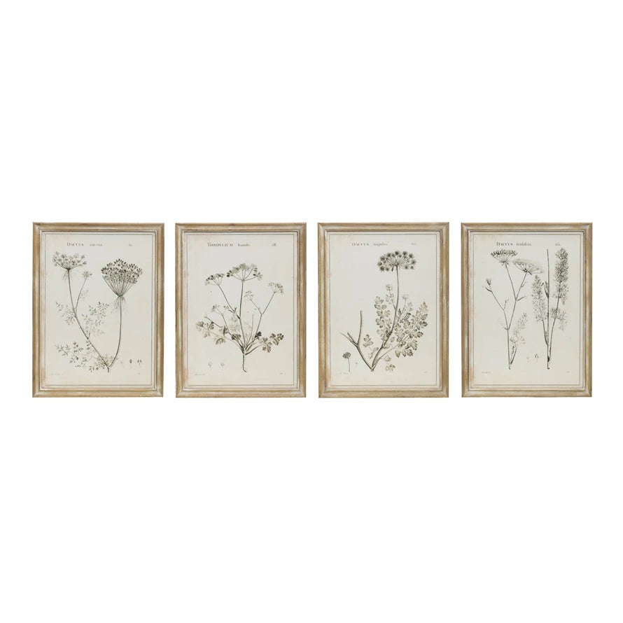 Framed Wall Decor with Botanical Print, 4 Styles