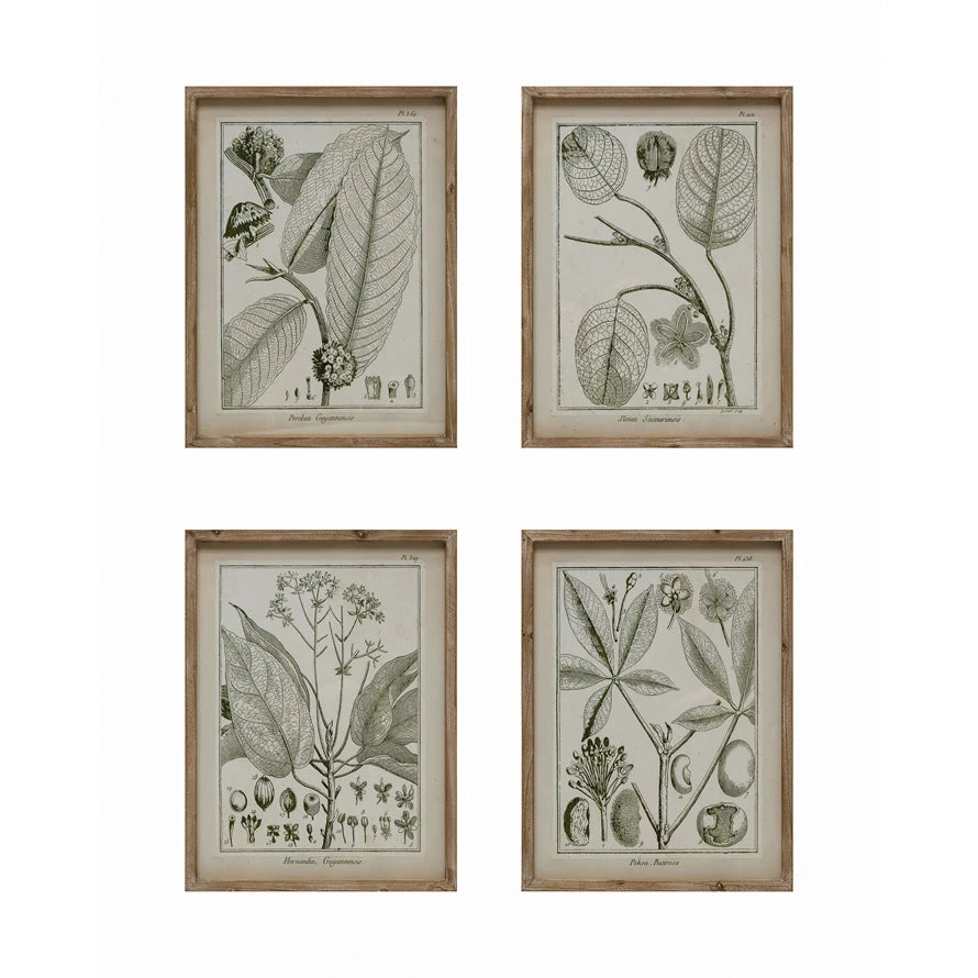 Wood Framed Glass Wall Décor with Plant, 4 Styles