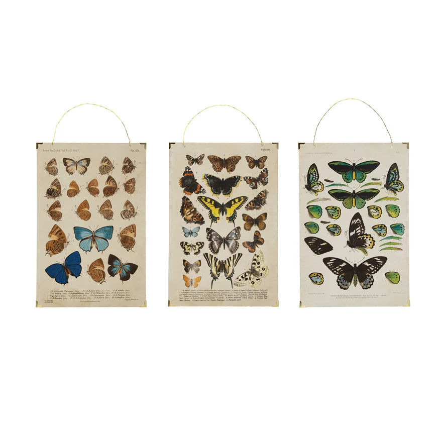 MDF and Paper Wall Décor with Vintage Reproduction Butterflies and Wire Hanger