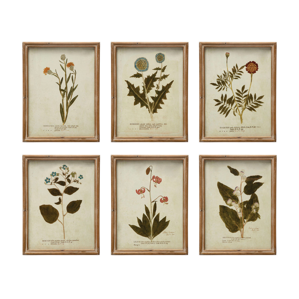 Wood Framed Glass Wall Décor w/ Botanical, Multi Color, 6 Styles wall art flowers