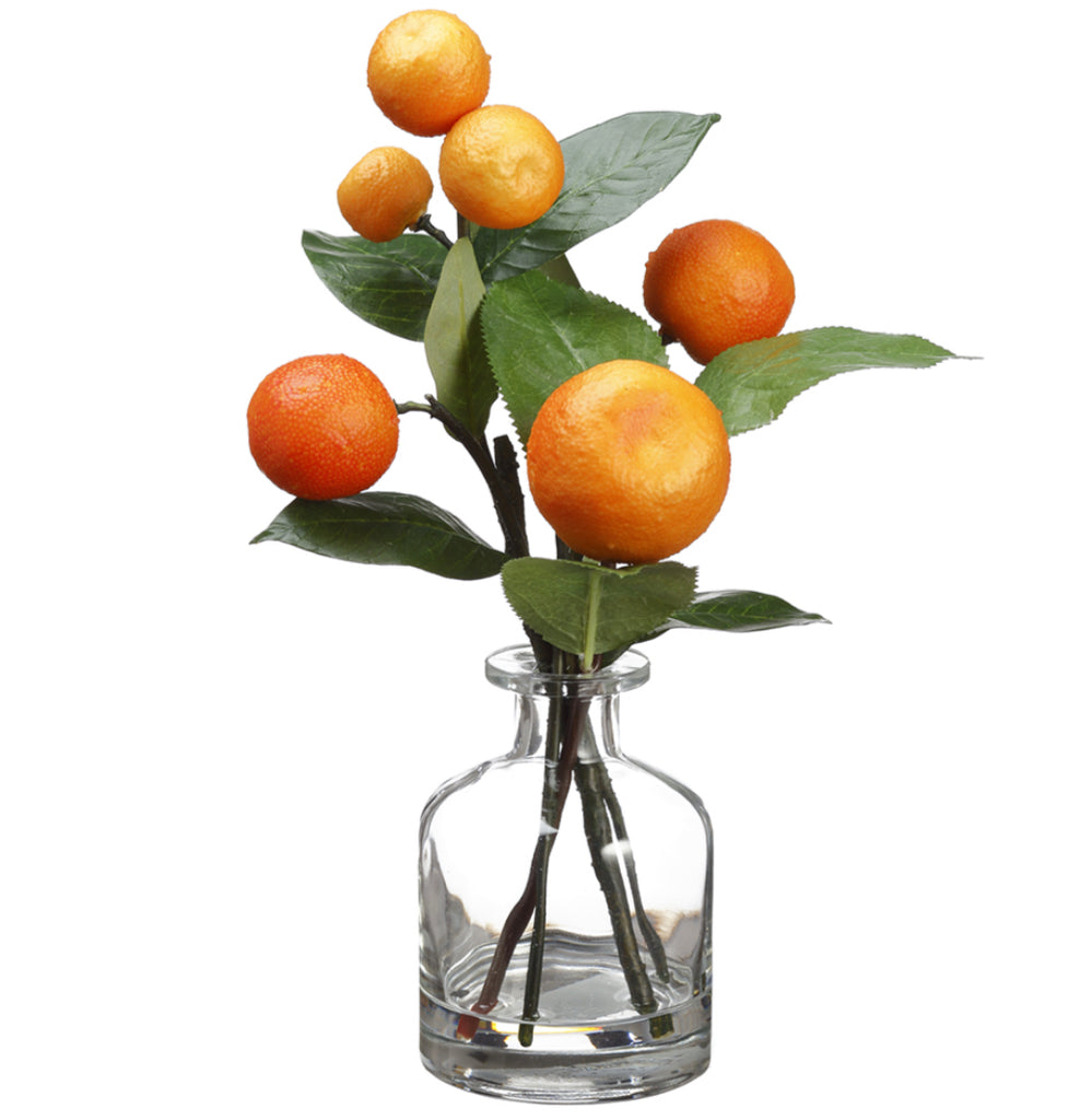 Orange in Glass Vase