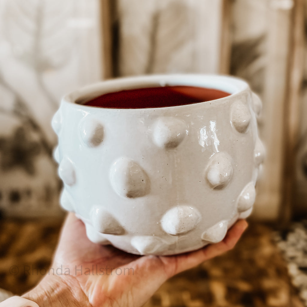Hobnail Terracotta Planter with Raised Dots
