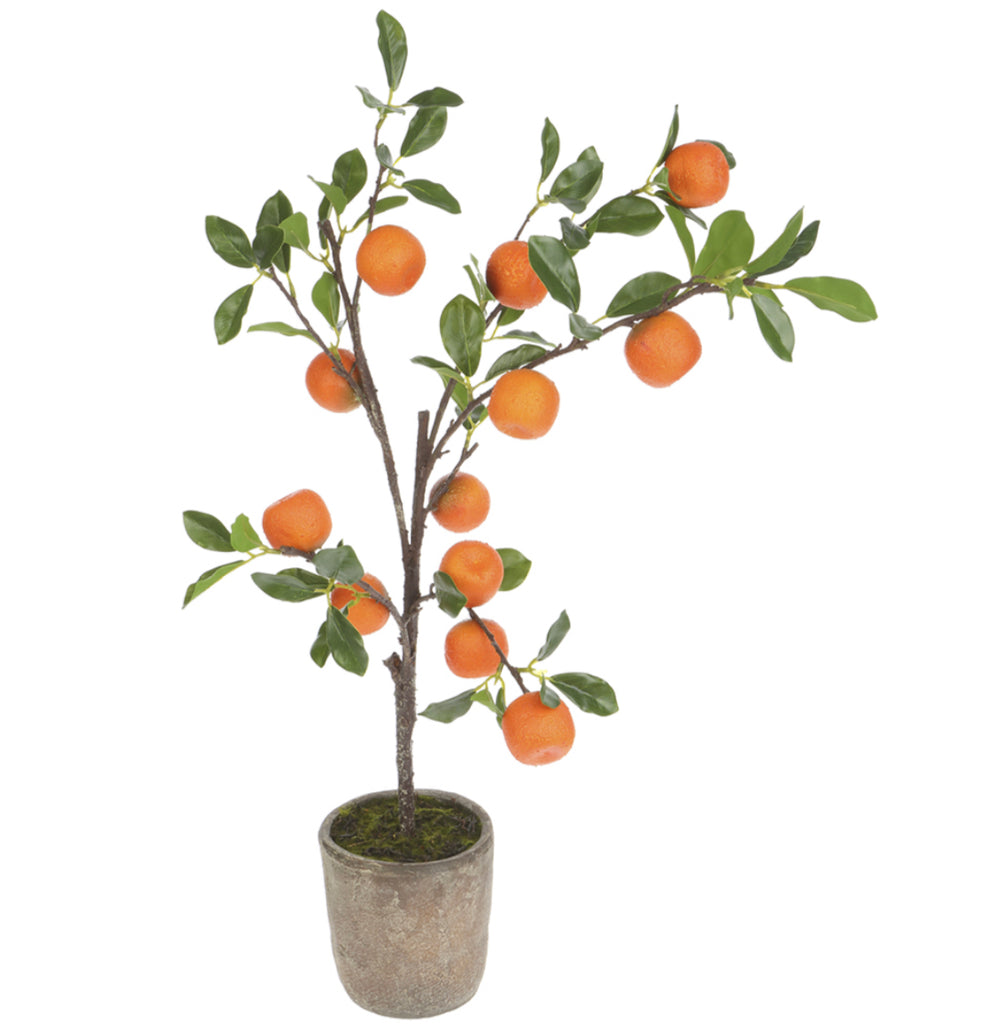 30" Orange Topiary in Cement Pot Orange