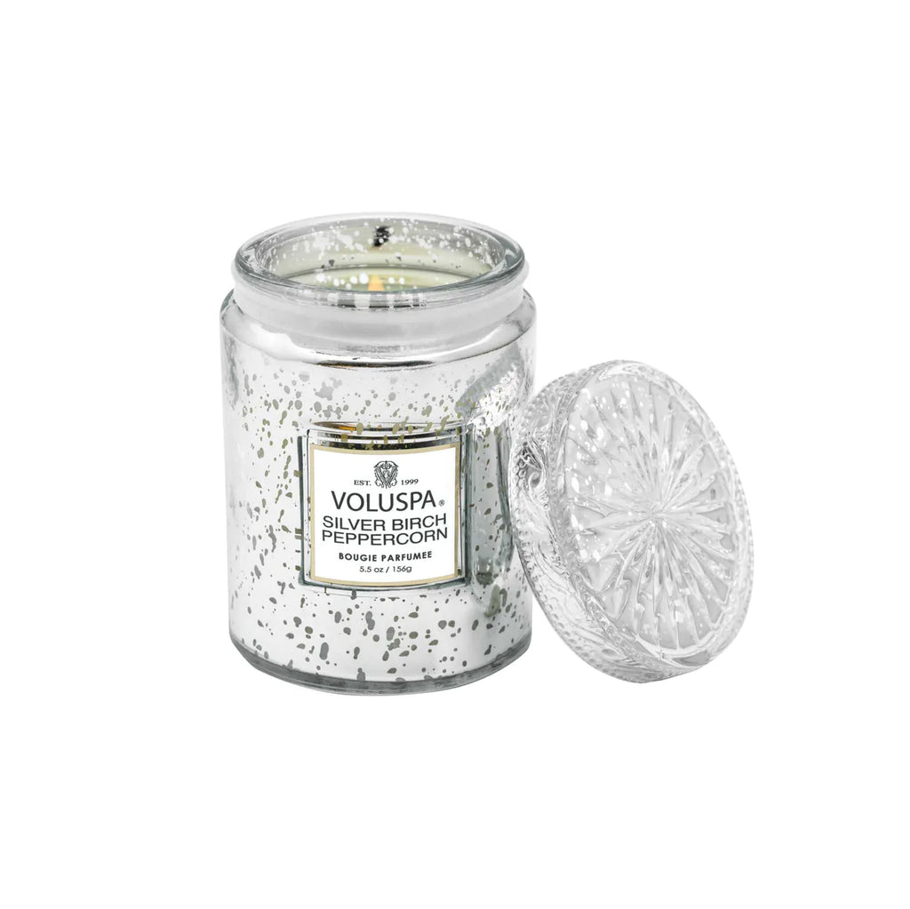 Silver Birch 5.5 oz Voluspa Candle Sm Jar