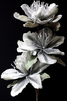 Stem Grey Foam Flower